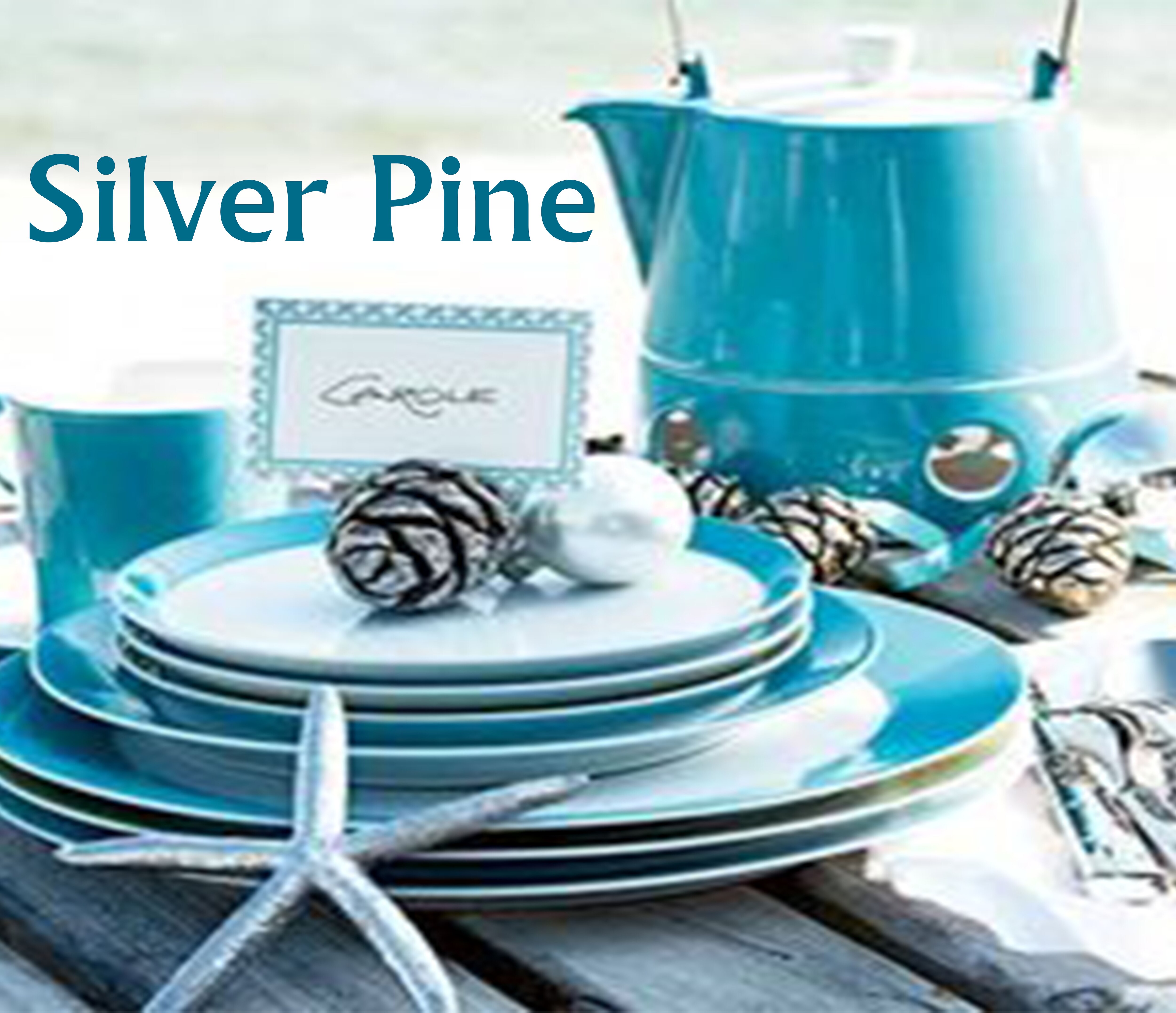 Crockery Cutlery Glassware Dealer SILVER PINE in Delhi, Buy crockery