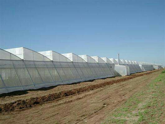 about-cover-bg image