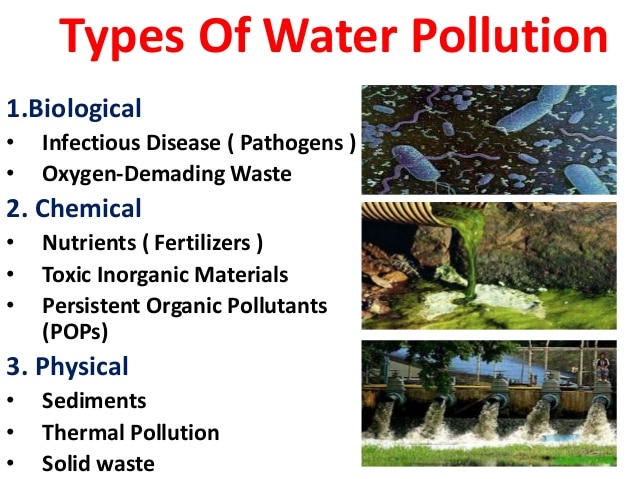 the various types of pollution plaguing the world today Environmental issues in a world where the focus is increasingly on how the environment has been affected by human actions, buzzle brings to you a comprehensive guide on the different environmental issues plaguing us today. the various types of pollution plaguing the world today Environmental issues in a world where the focus is increasingly on how the environment has been affected by human actions, buzzle brings to you a comprehensive guide on the different environmental issues plaguing us today.
