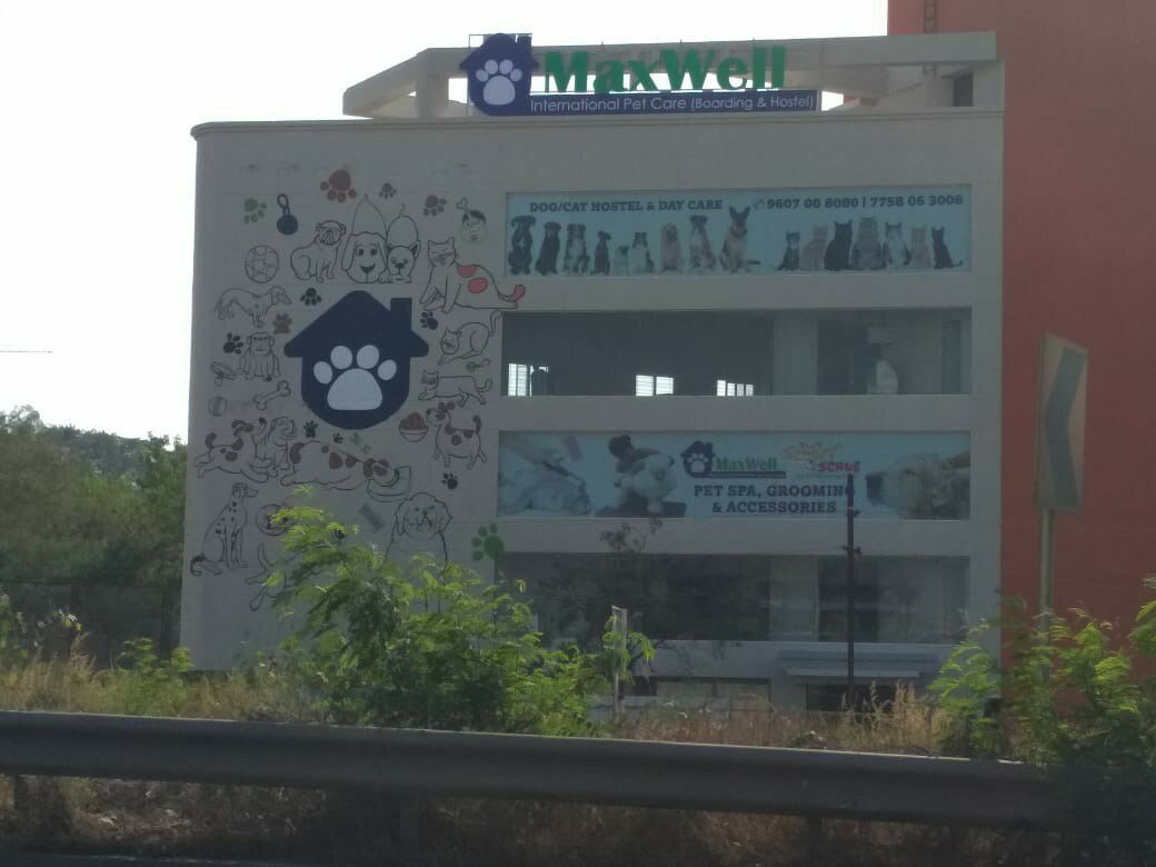 international pet care