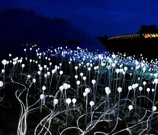 about-cover-bg image