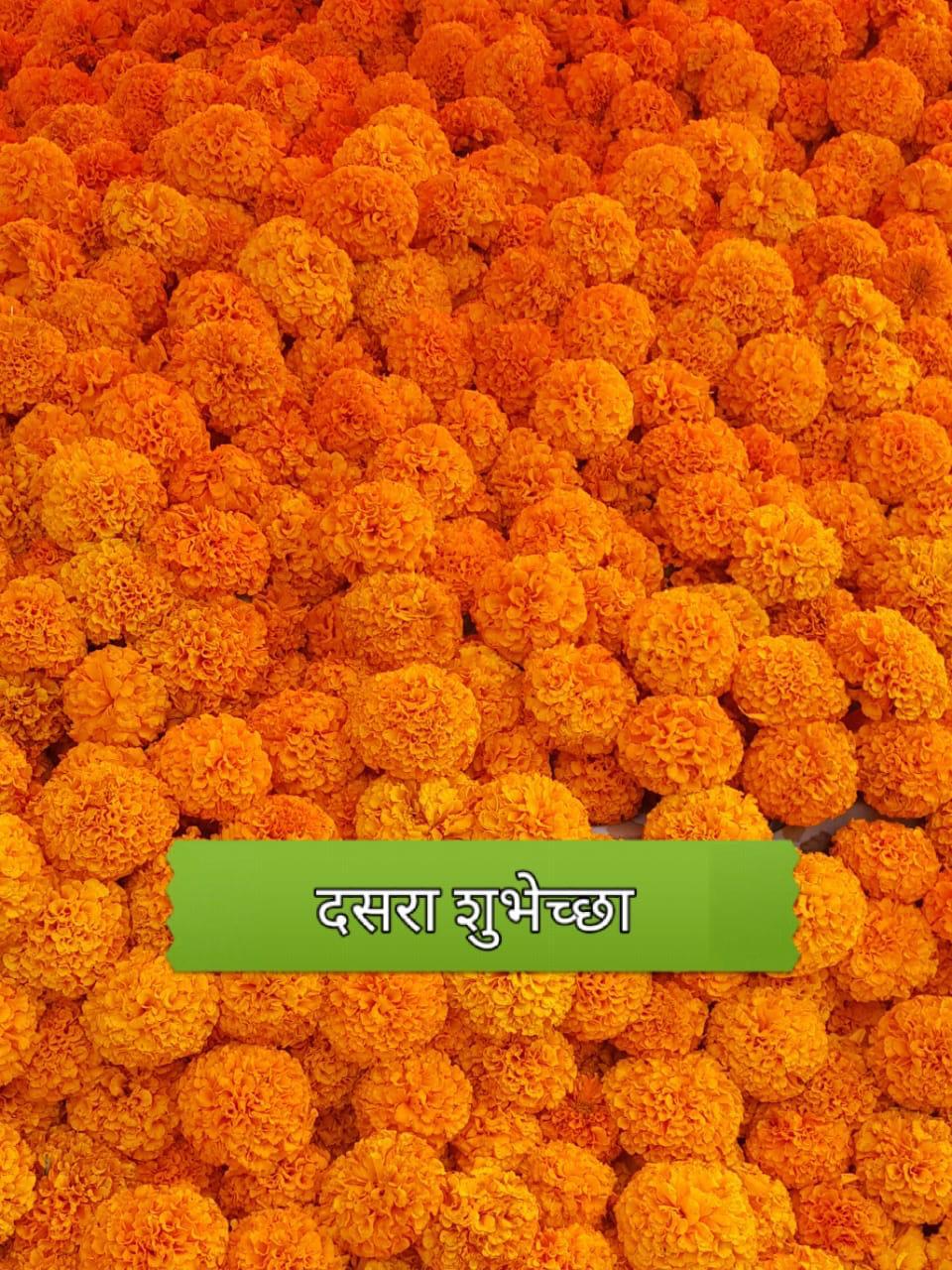 Gallery Tejaswini Ladies Fitness Centre in Thane, India