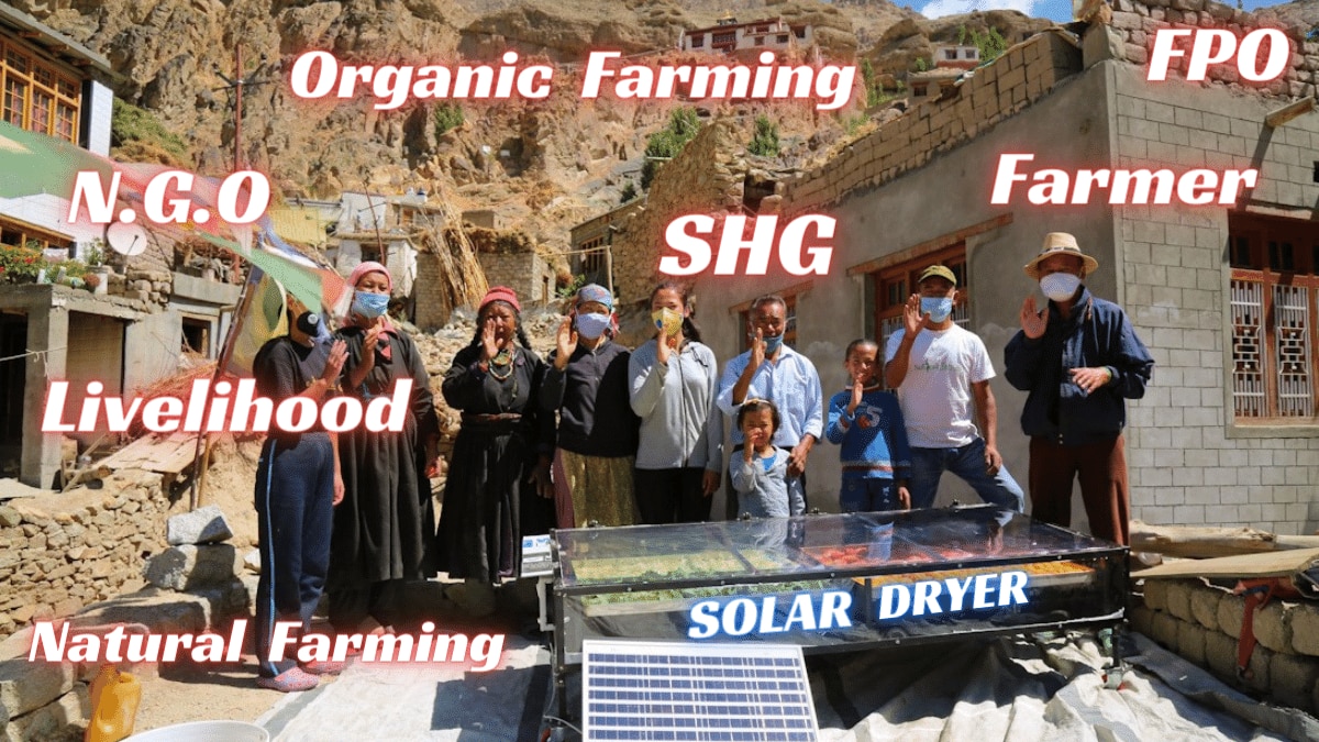 about-cover-bg image