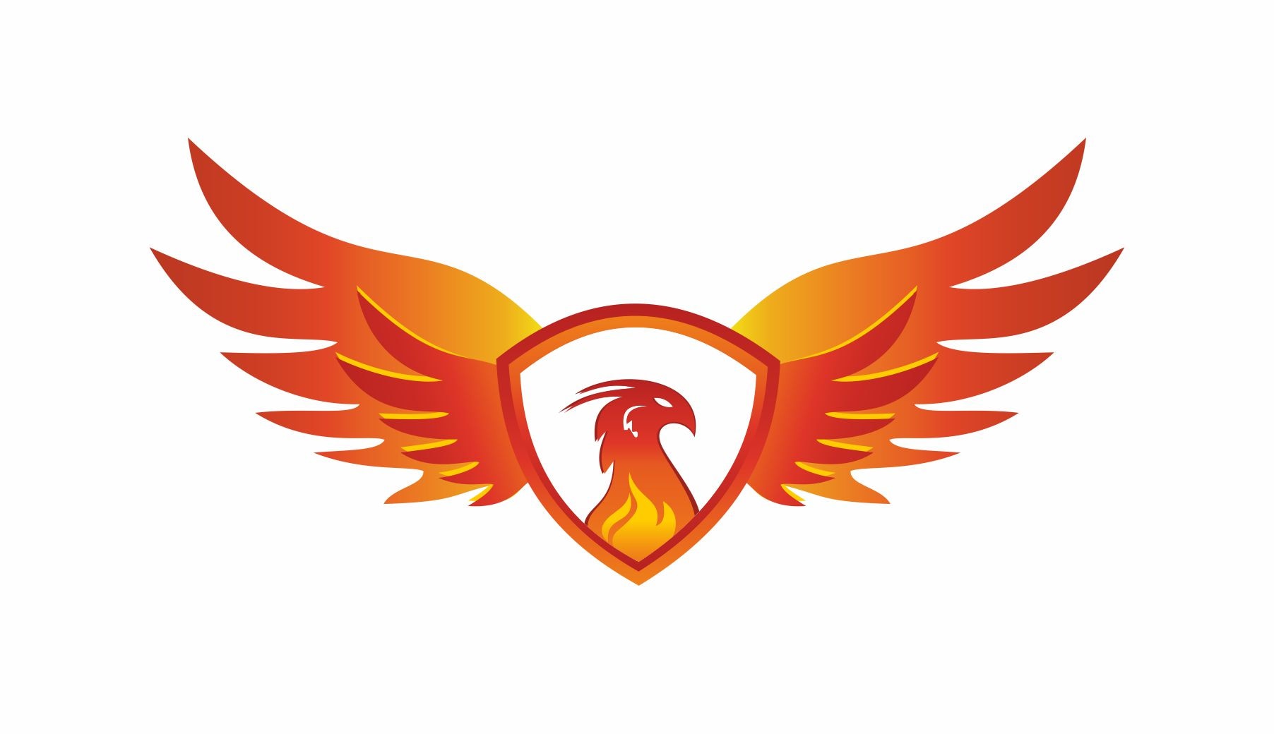 about-cover-bg image