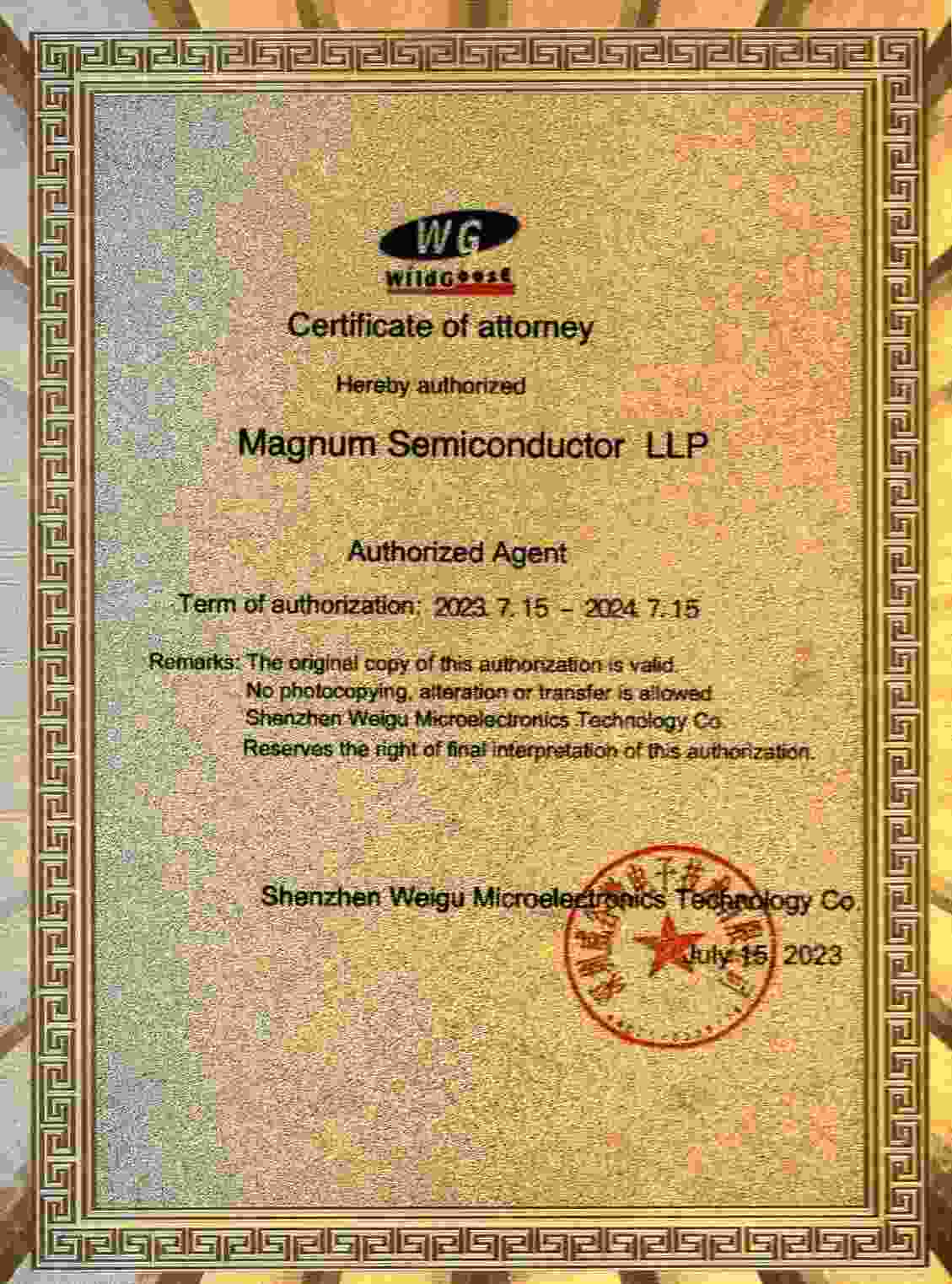 about Magnum Semiconductors LLP