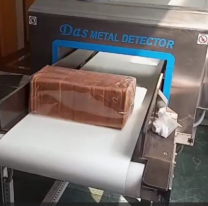 Conveyor Metal Detec