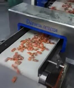 Conveyor Metal Detec