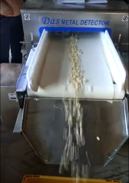 Conveyor Metal Detec