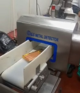 Conveyor Metal Detec