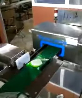 Conveyor metal Detec