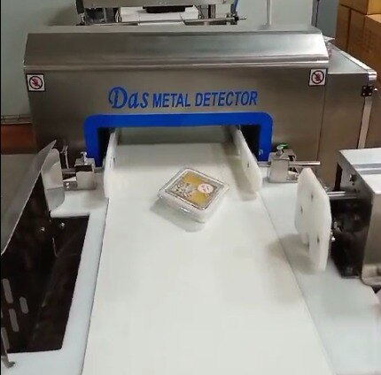 Conveyor Metal Detec