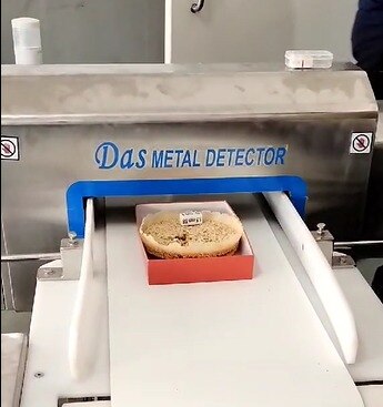 Conveyor Metal Detec