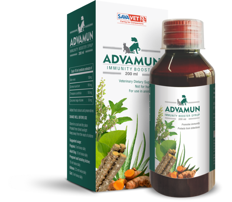 ADVAMUN-200-768x669.