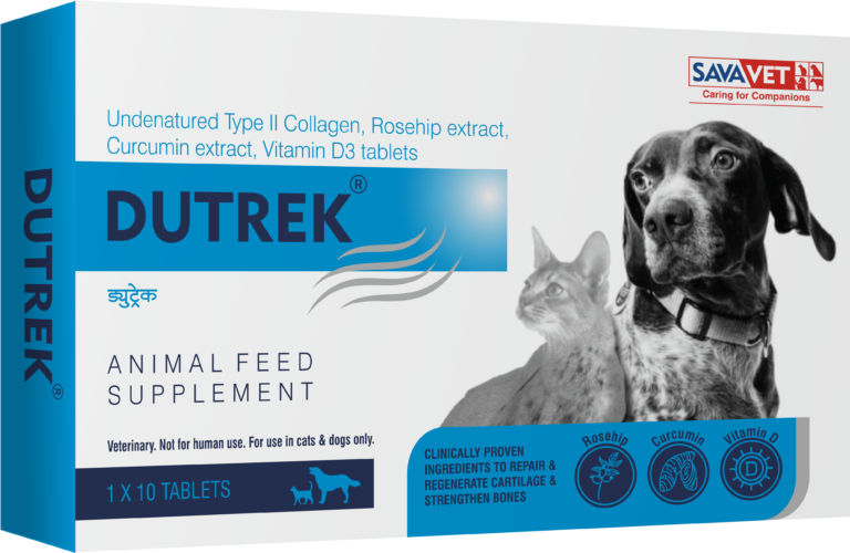 DUTREK-CAT-DOG-Mono
