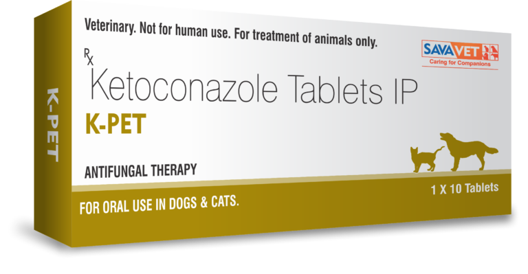 K-PET-768x399.png