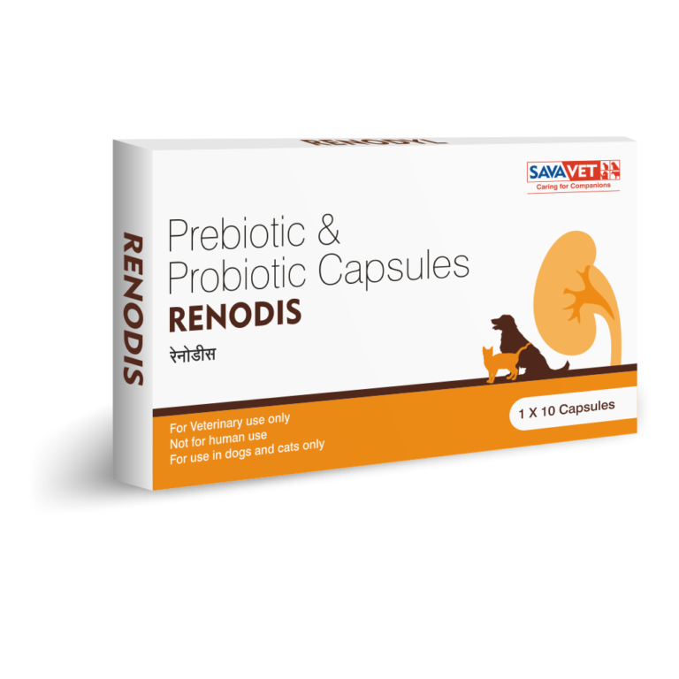 Renodis-Carton-1000
