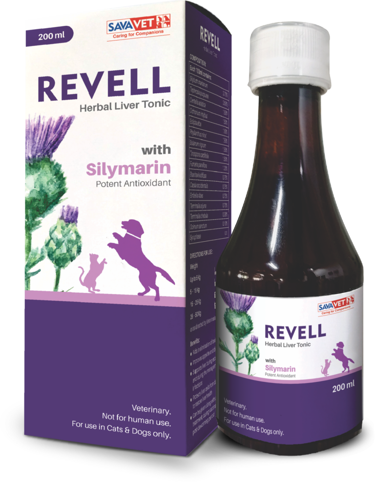 REVELL-768x987.png
