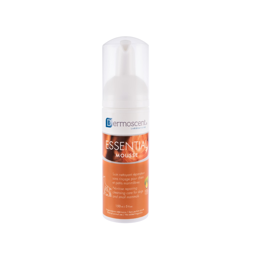 Essential-Mousse-chi