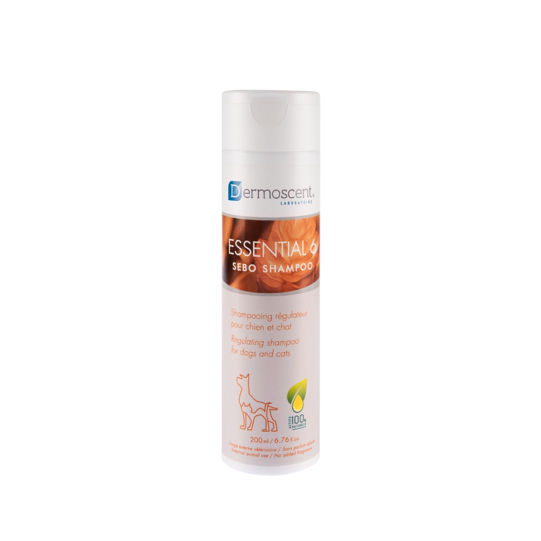 Essential-6-Shampoo.