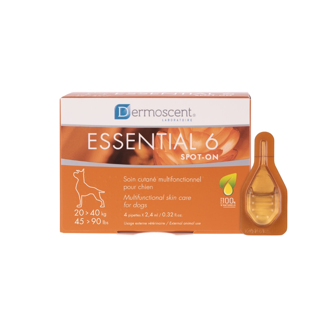 Essential-6-Spot-On