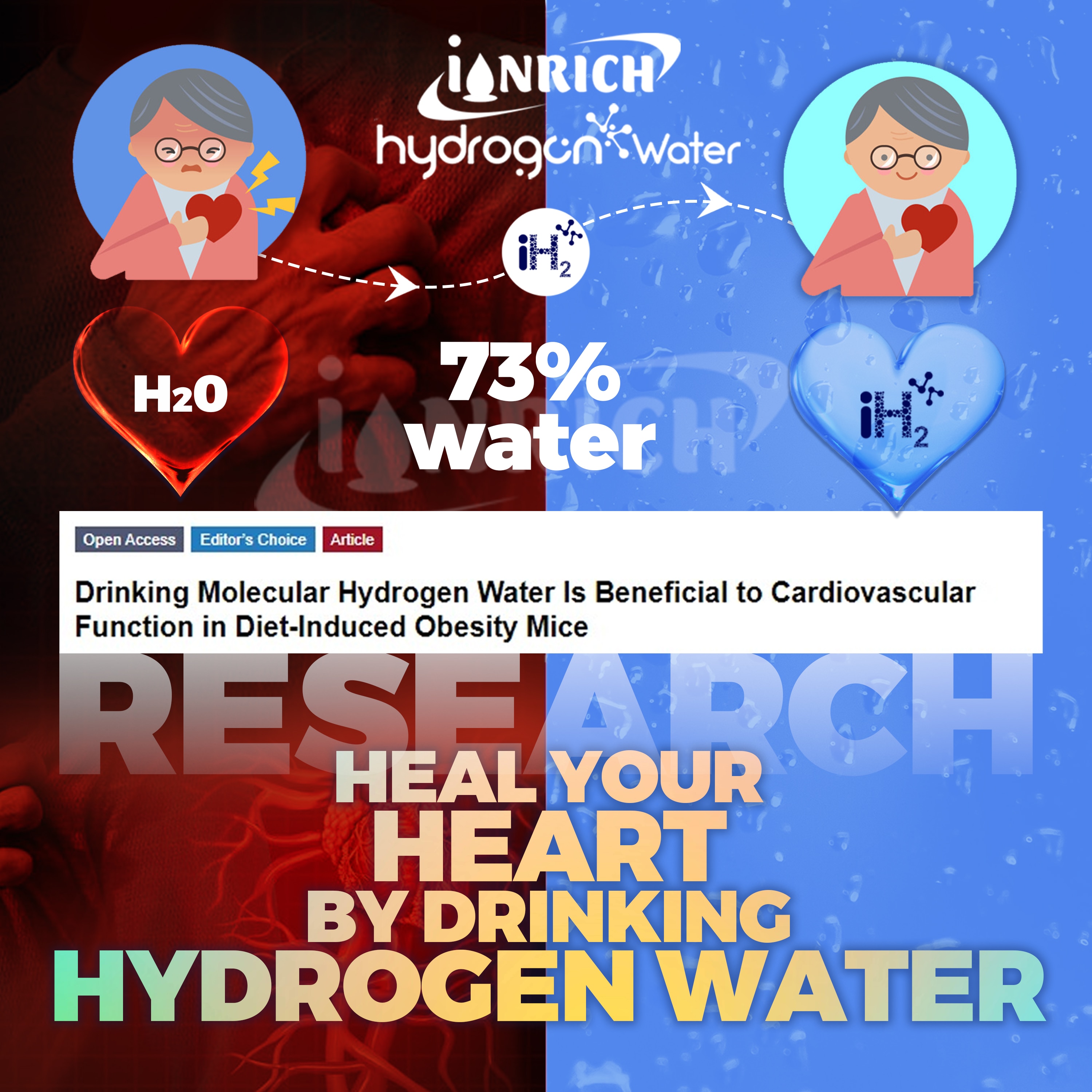 Ionrich Hydrogen wat