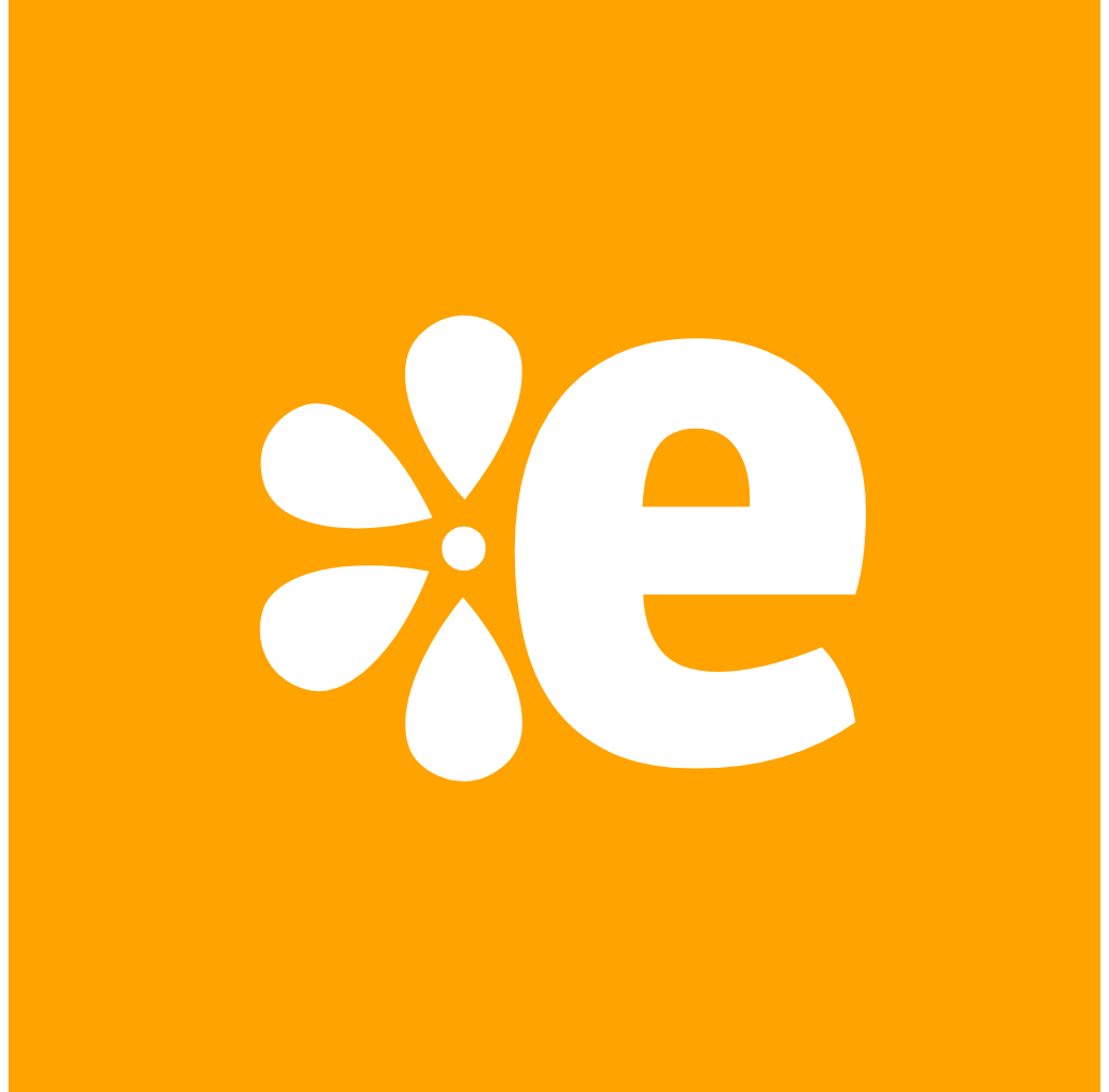 Eassy Innovative Services Pvt Ltd's favicon