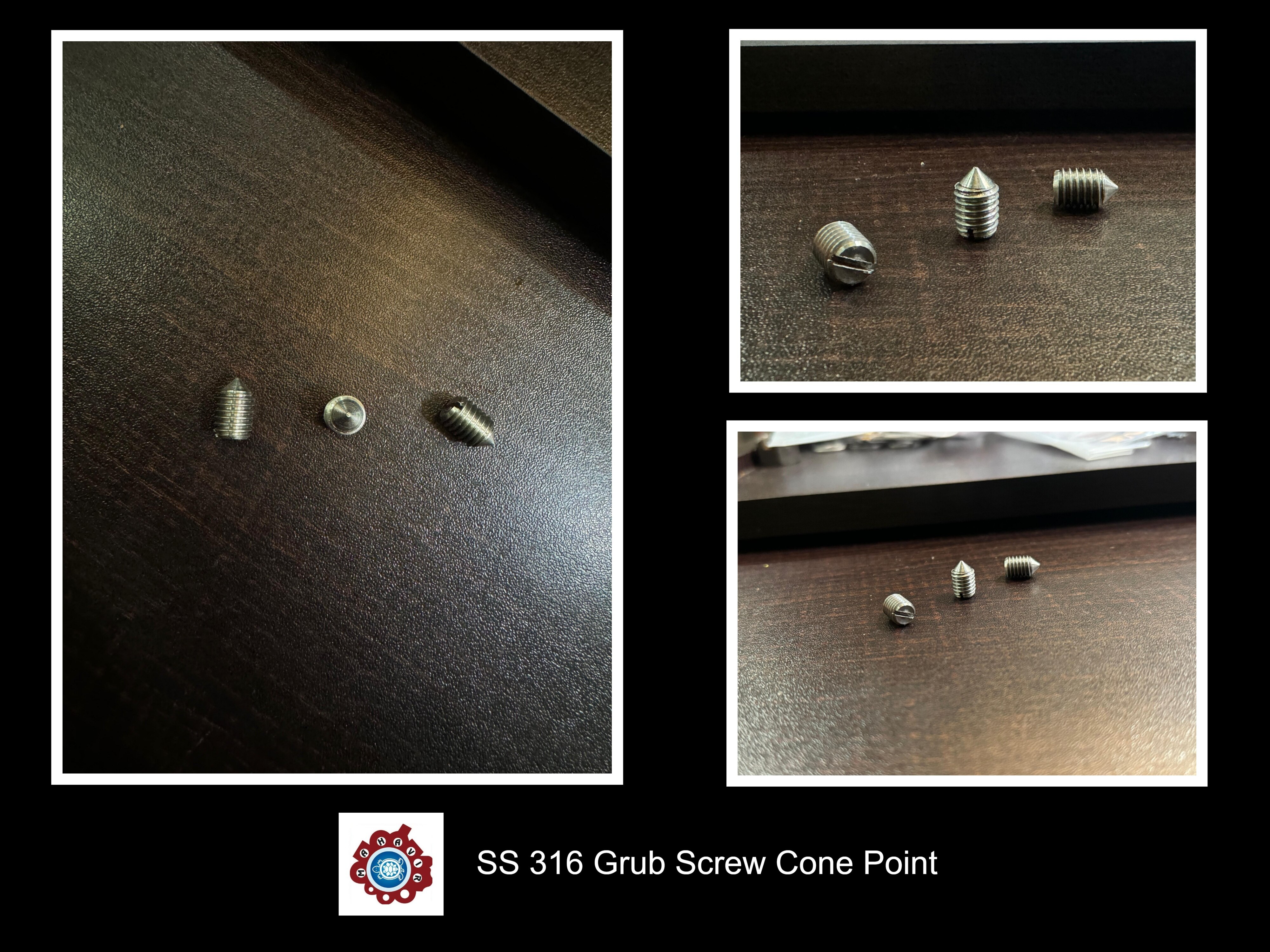 SS 316 Grub Screw Co
