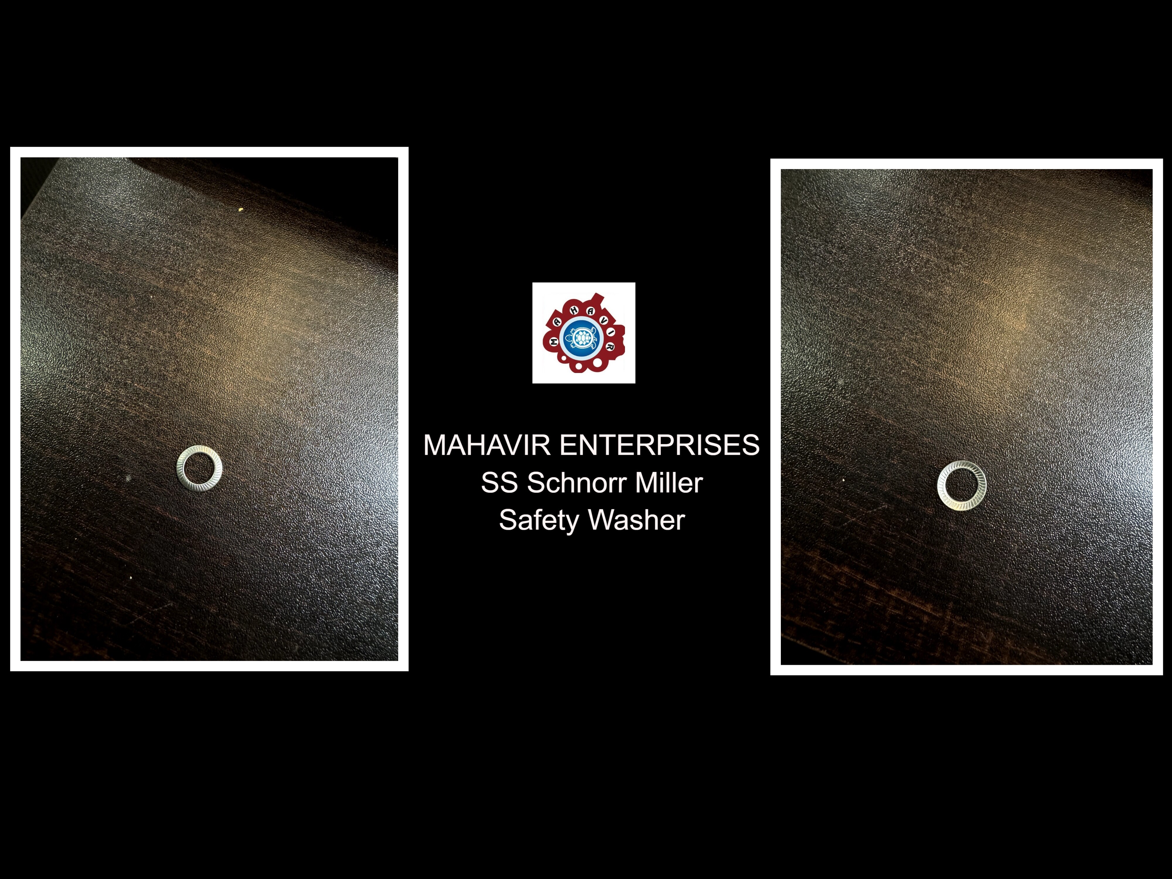 SS Schnorr Washers.j