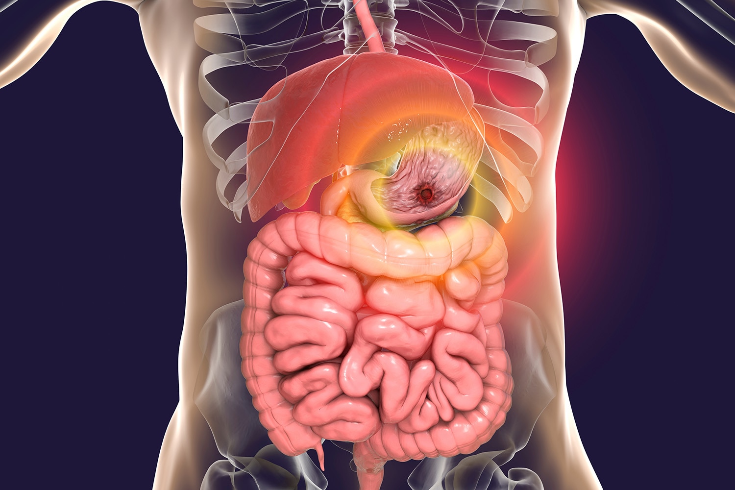 Gastroenterology 2.j