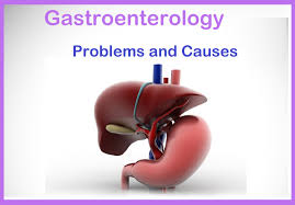 Gastroenterology5.jp
