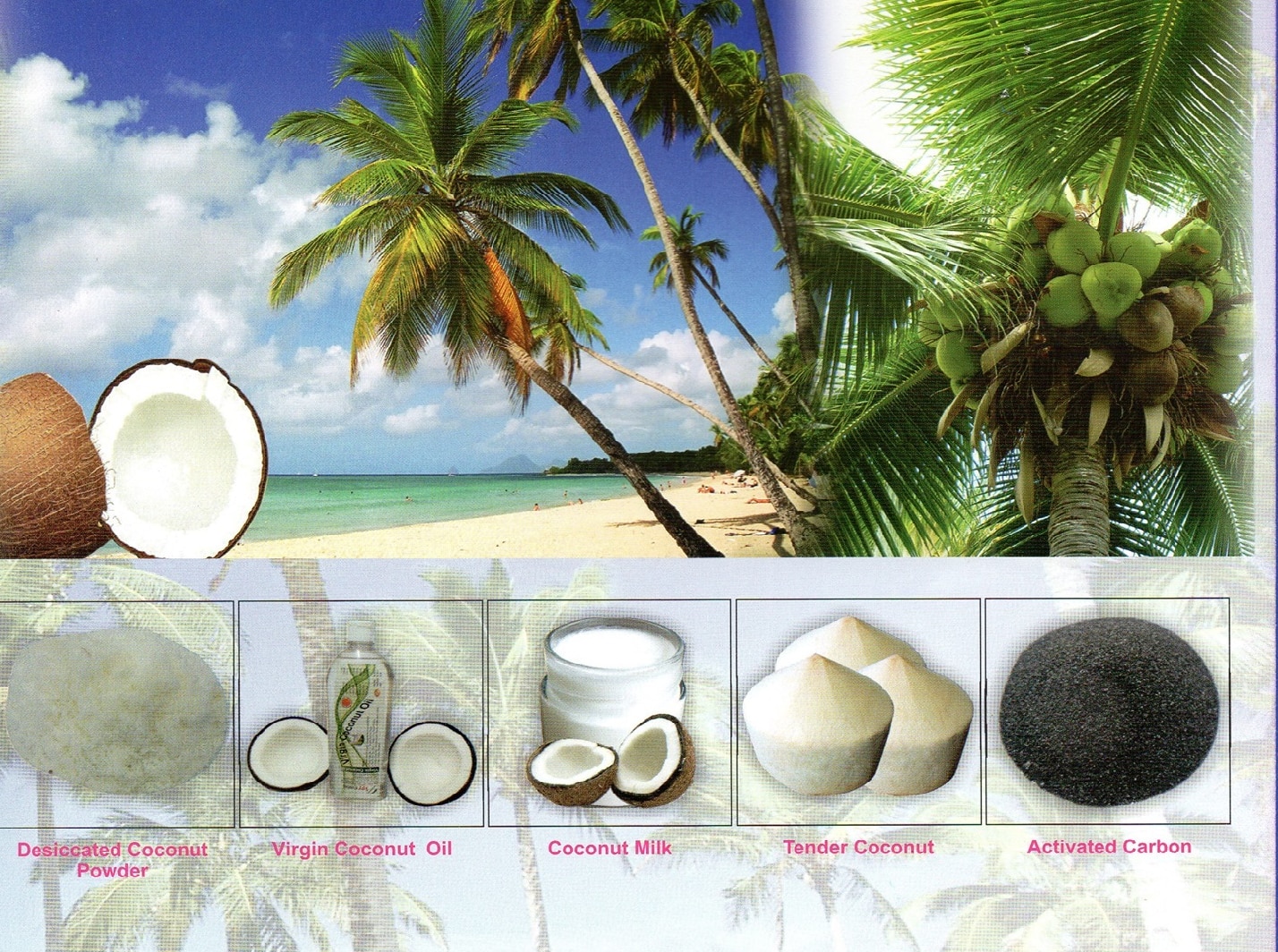 about-cover-bg image