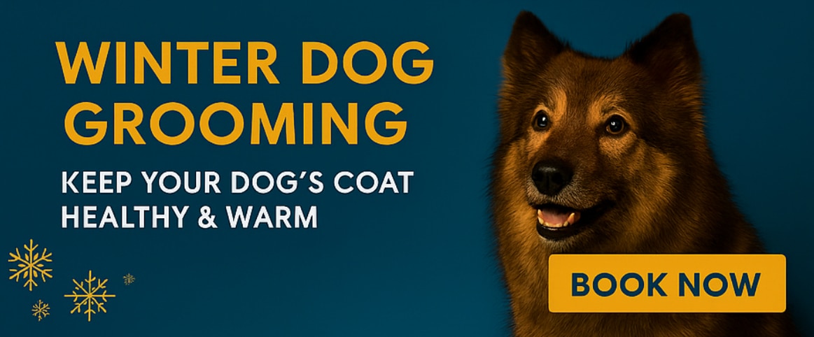 about-cover-bg image