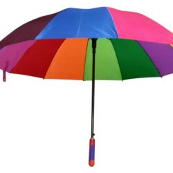 shree-datta-trunk-an