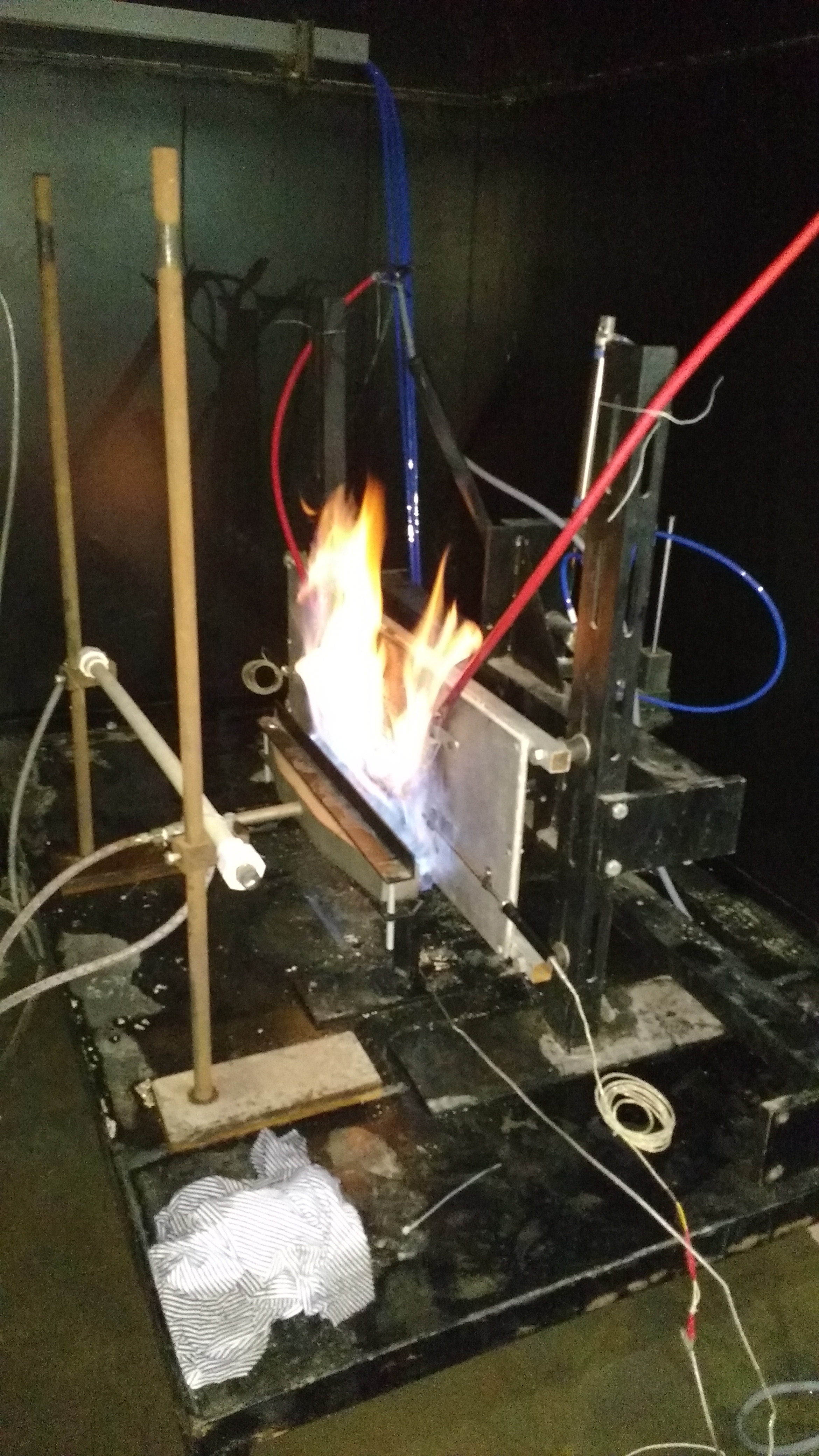 FIRE SURVIVAL 1.jpg