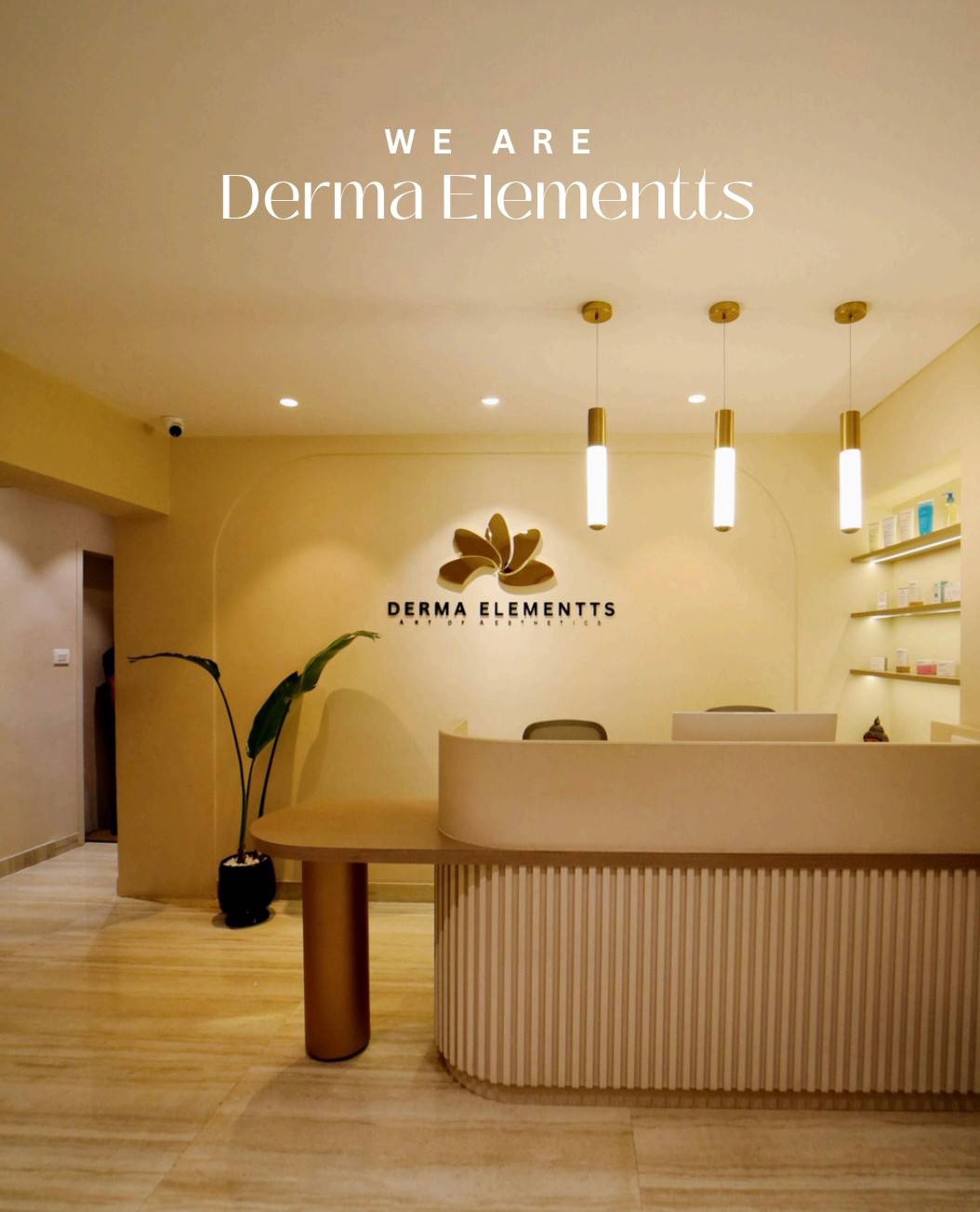 about-cover-bg image