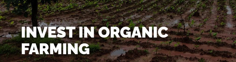 organic farming phot