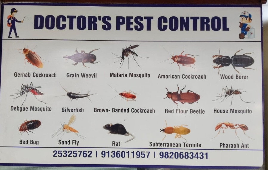 about-cover-bg image