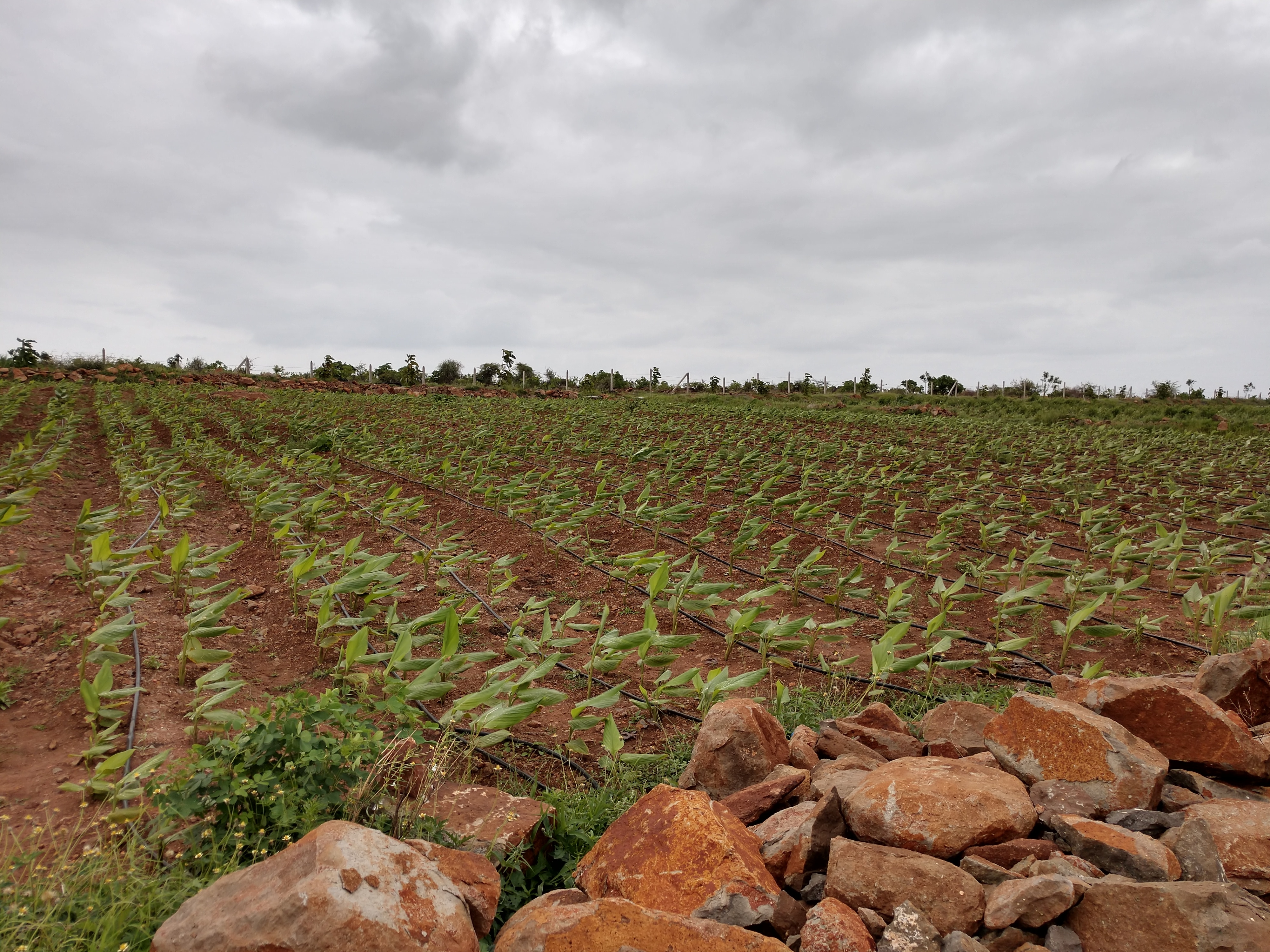 IMG_20180827_1527200