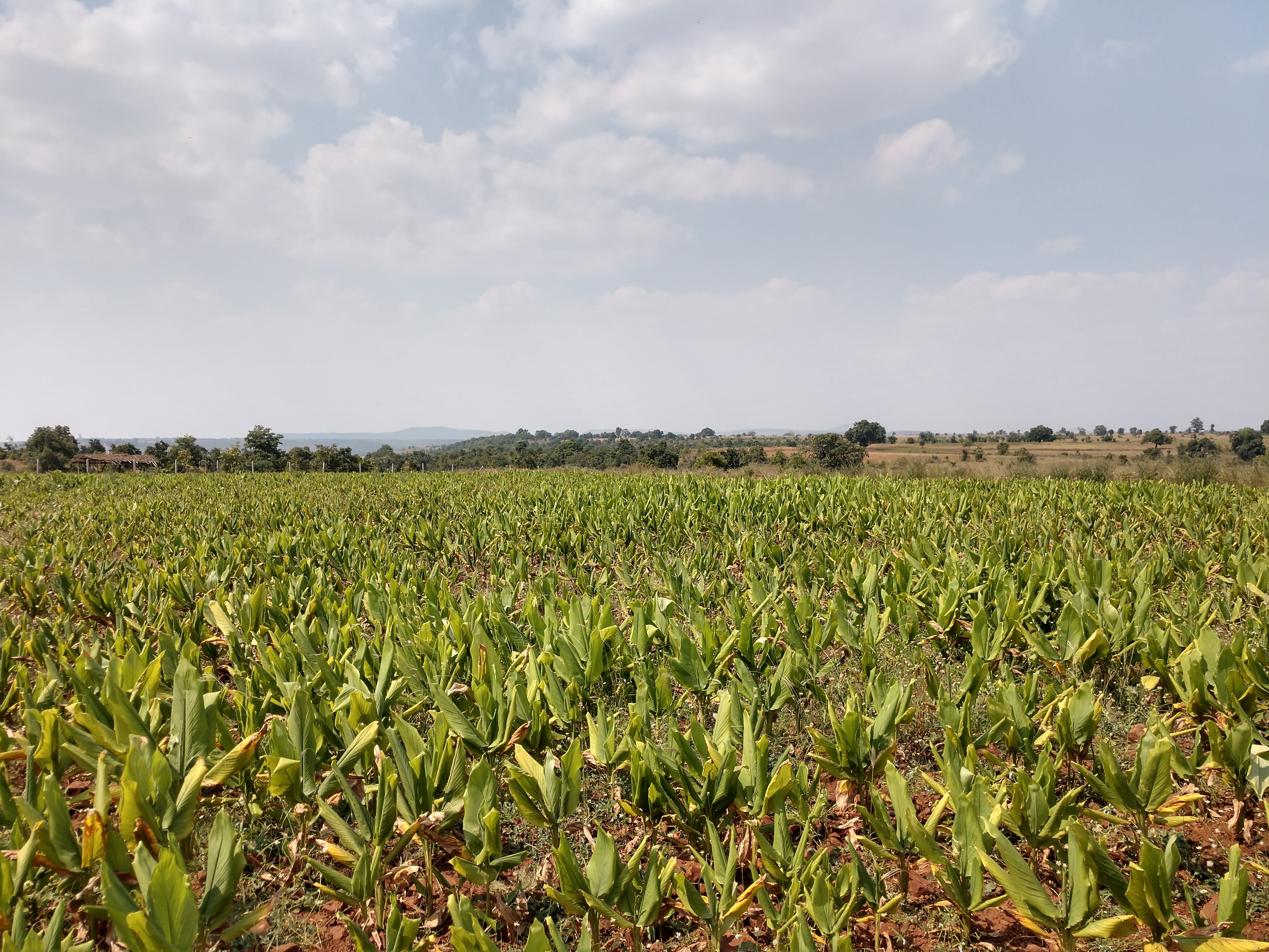 IMG_20181024_1202335