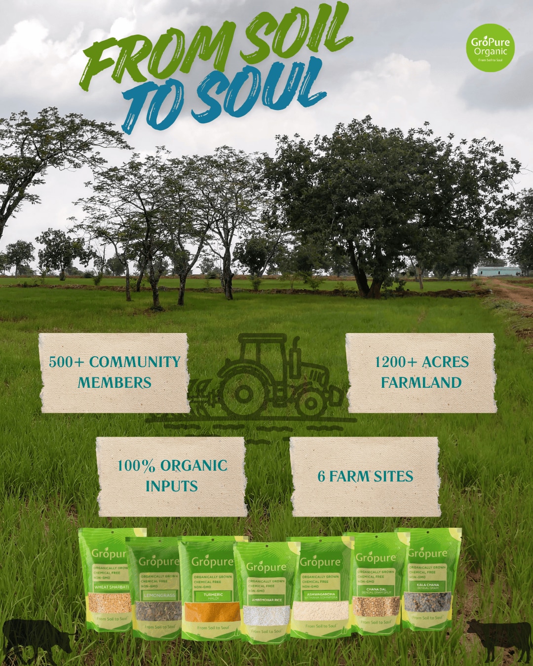 Investment Image (1)