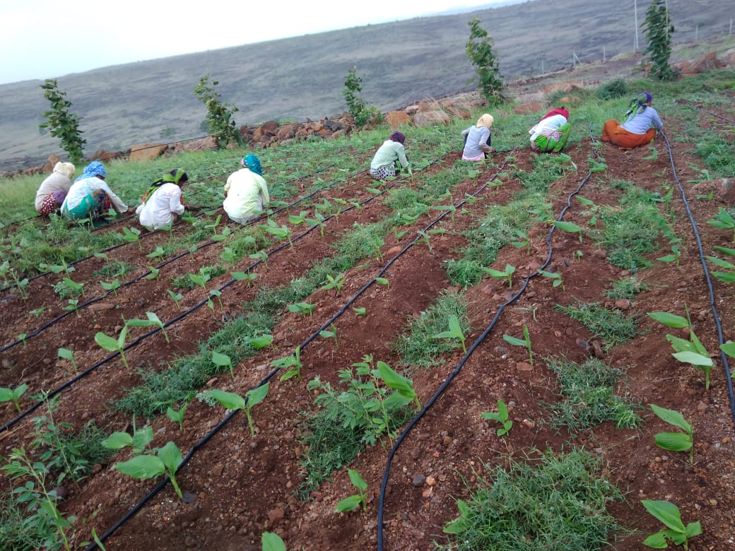 IMG-20180812-WA0177.