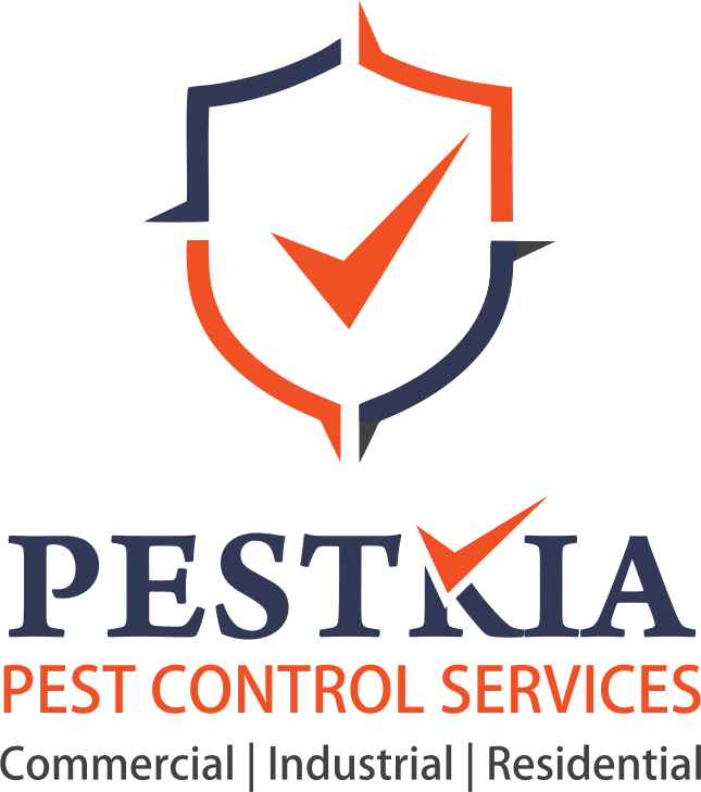 about-cover-bg image