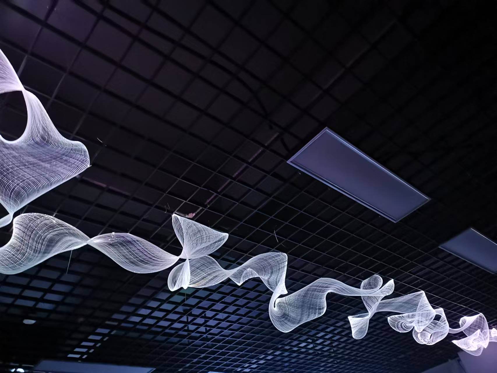 d56c2f90890e280566ba