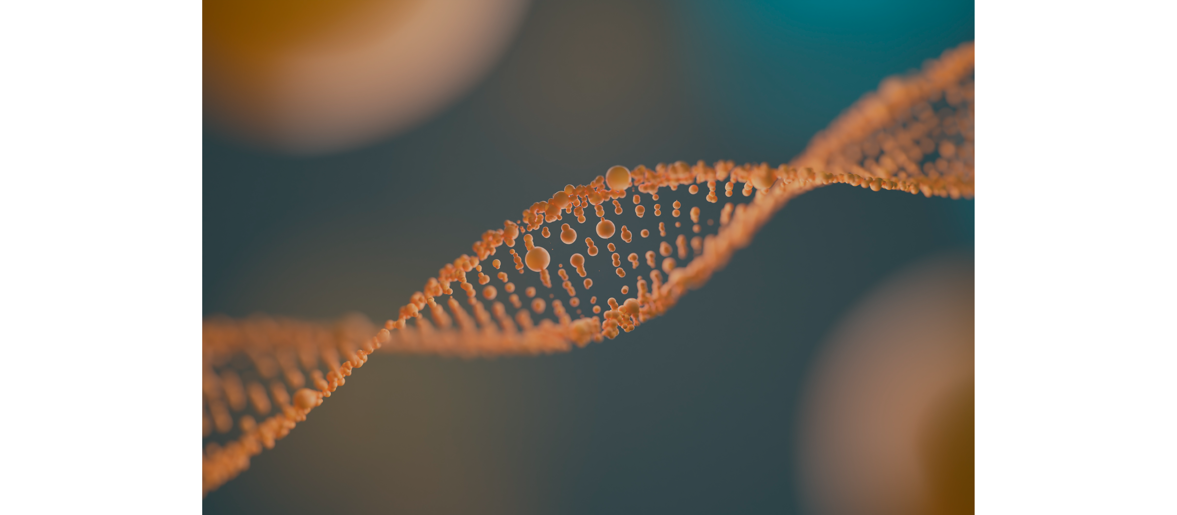 about-cover-bg image