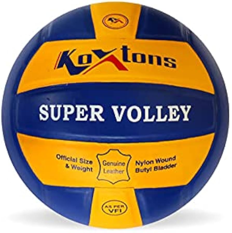 412CvoFHolS._AC_UF89