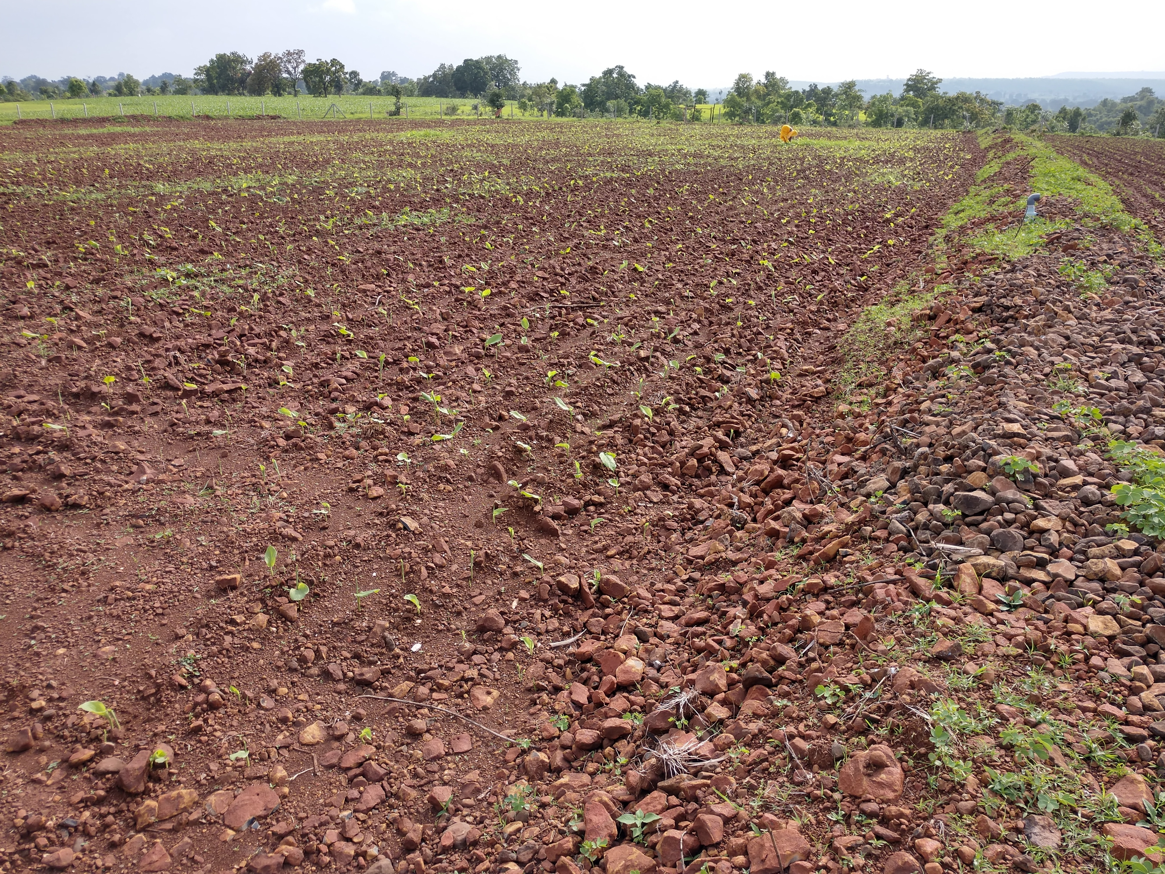 IMG_20180720_1612243