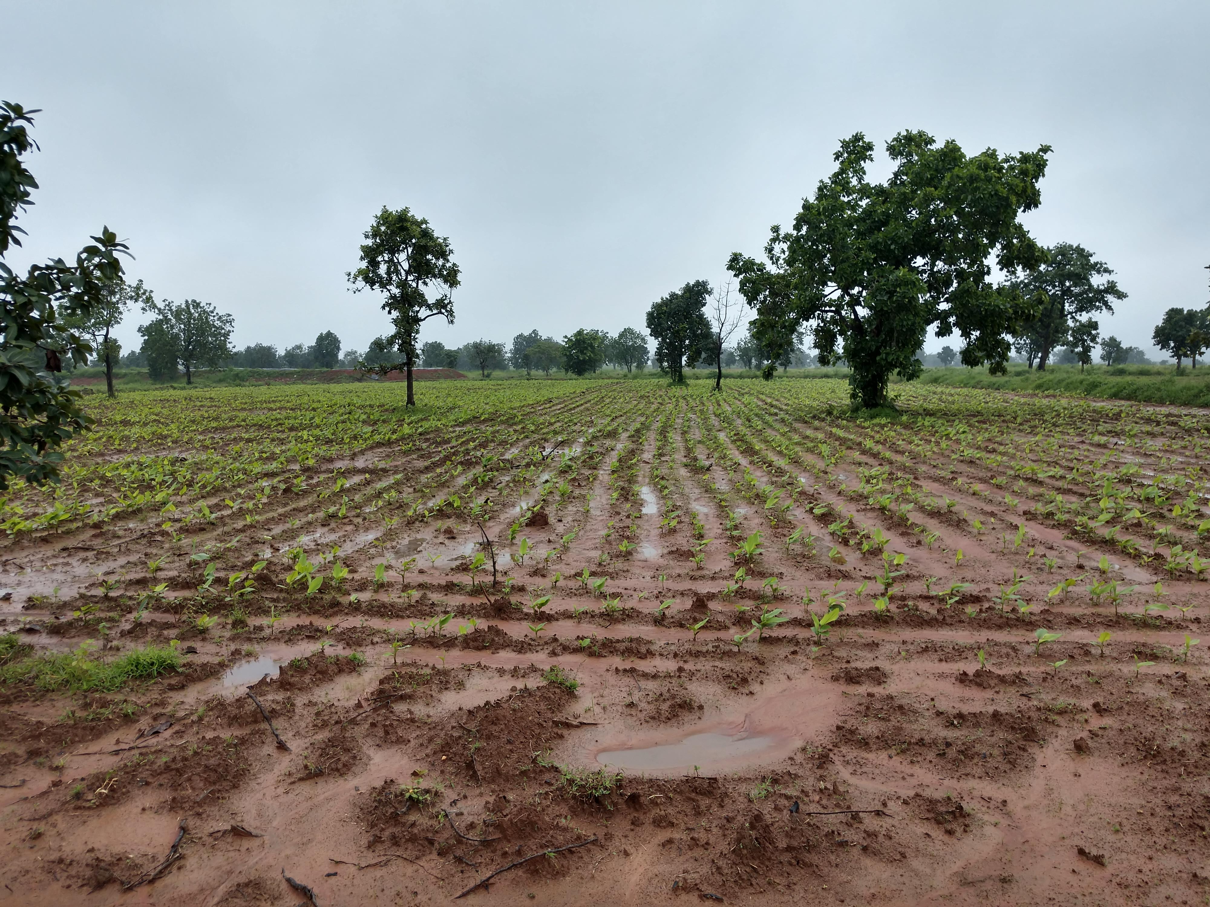 IMG_20180906_1038150