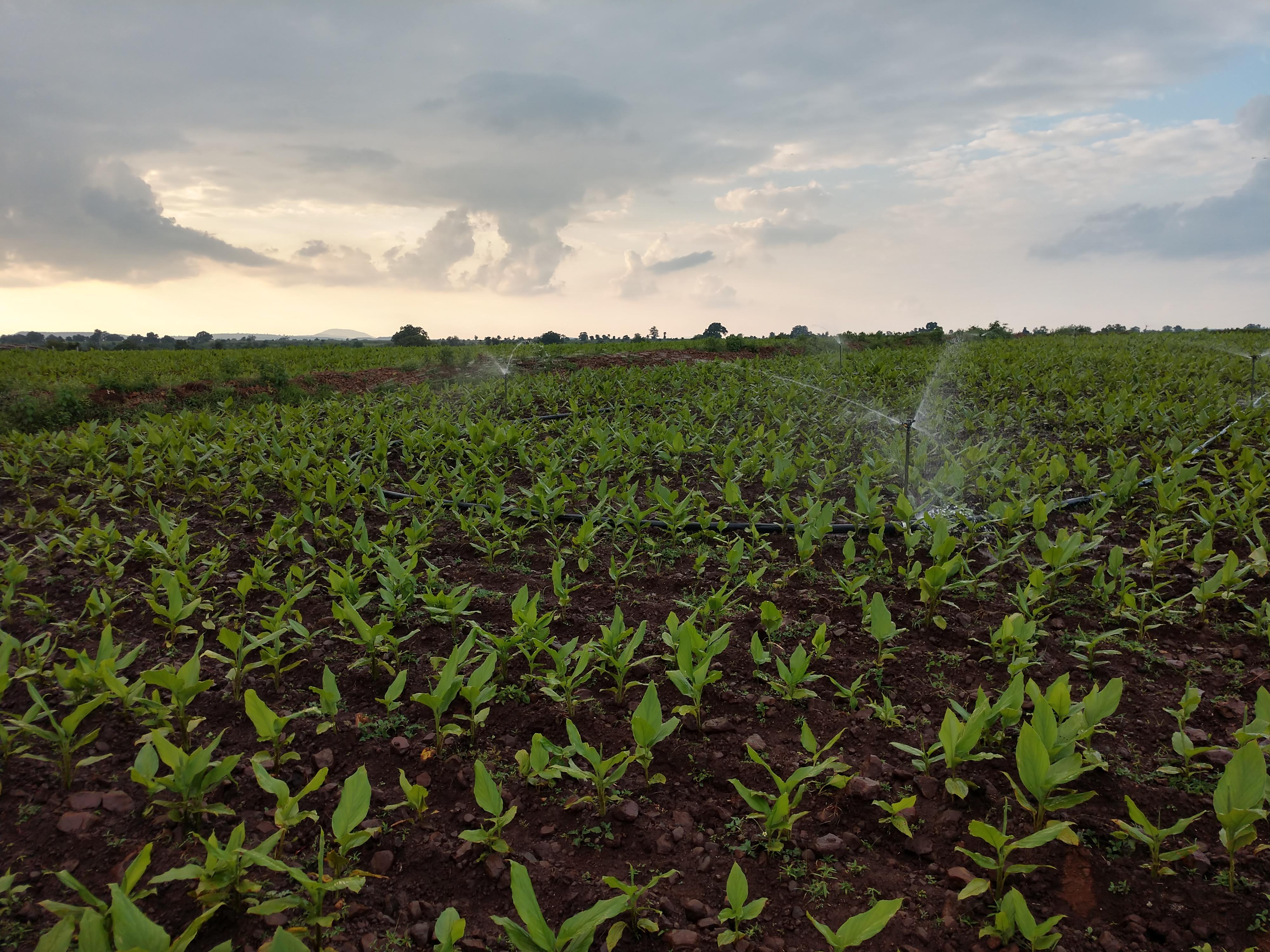 IMG_20180914_1729064