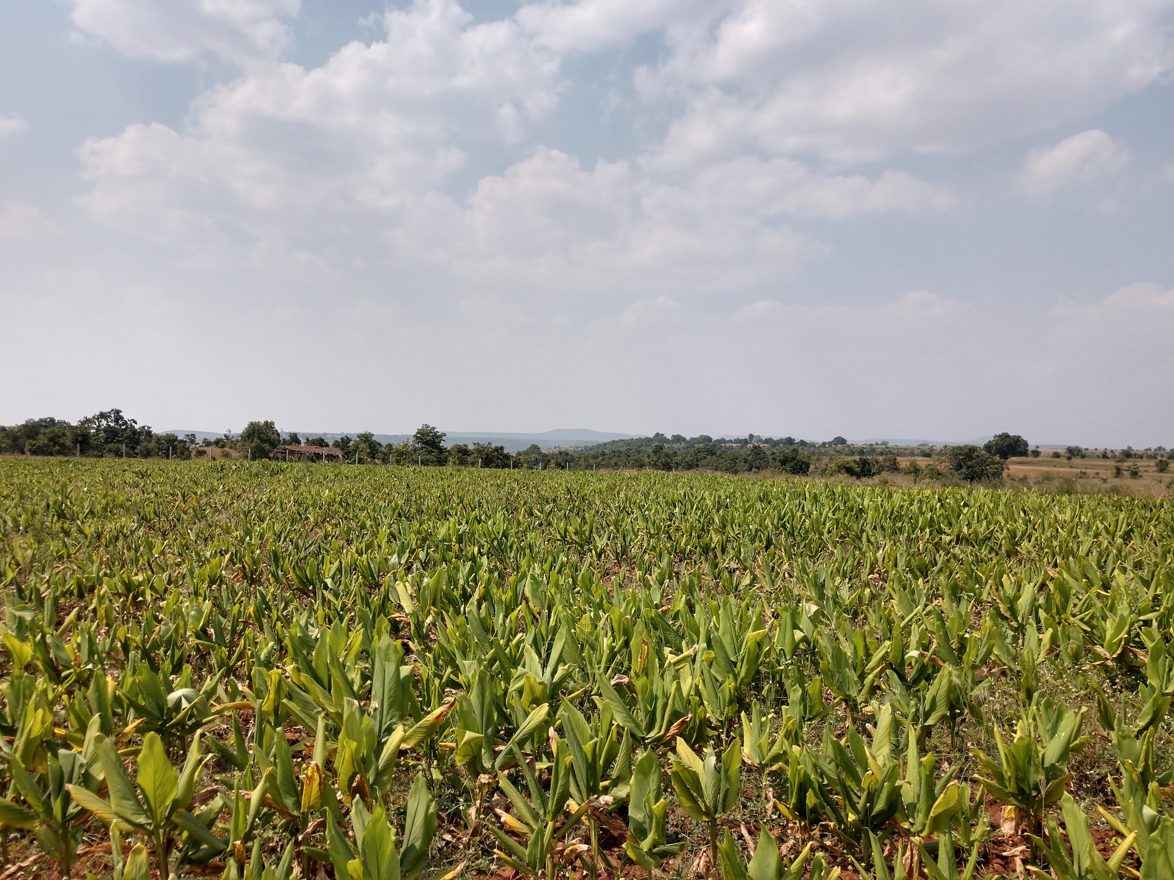 IMG_20181024_1202361