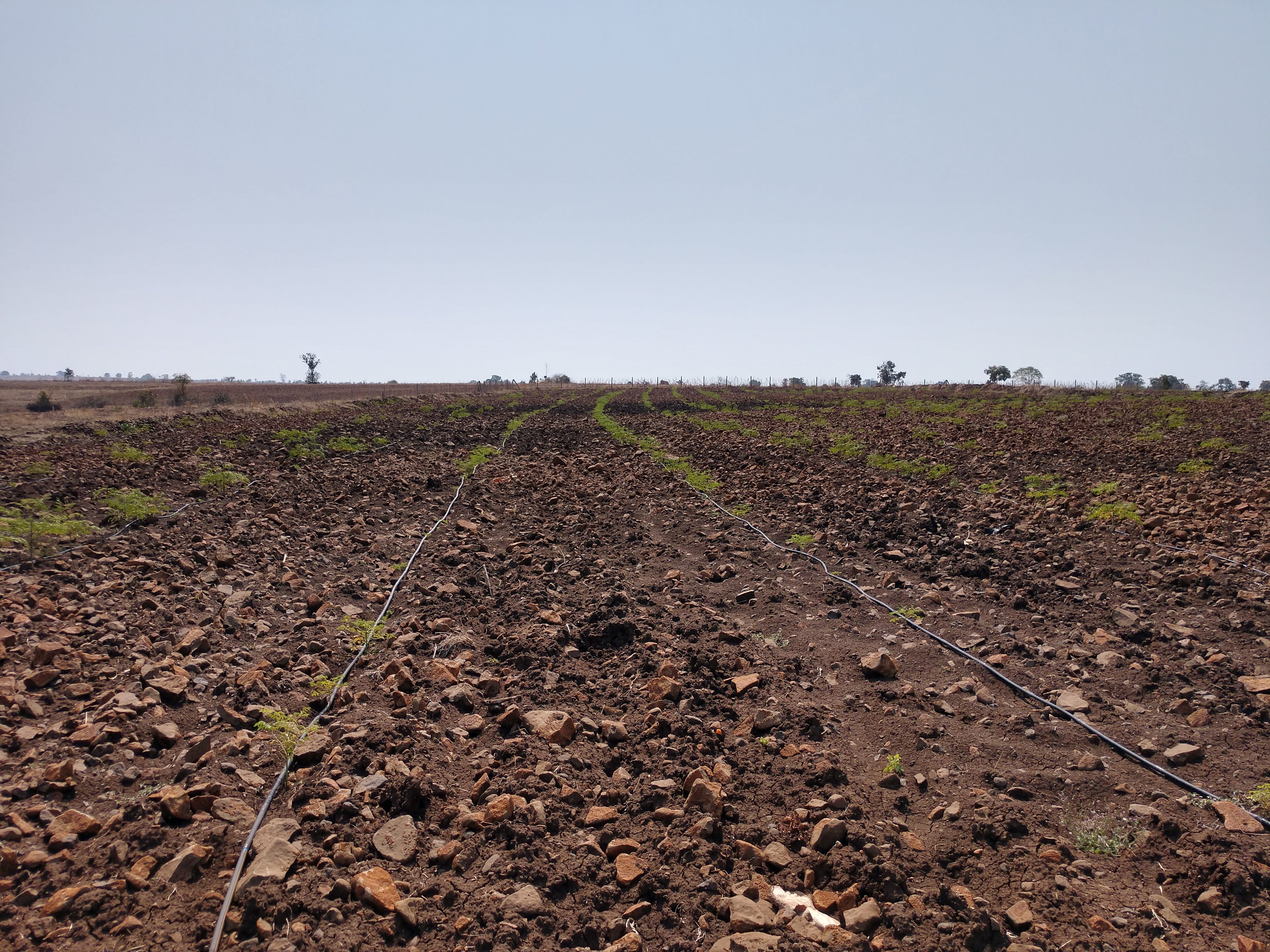 IMG_20190213_1232400